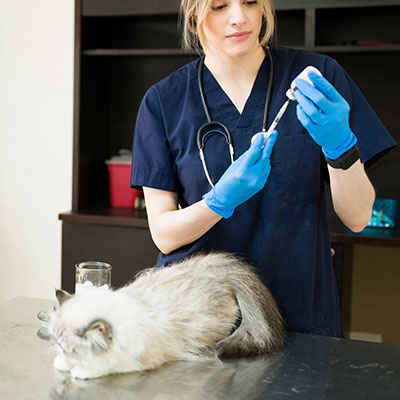 Veterinary Clinics